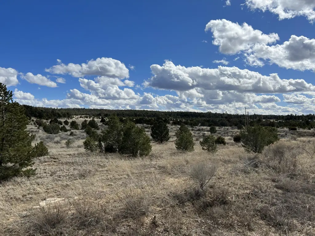 Picture 20