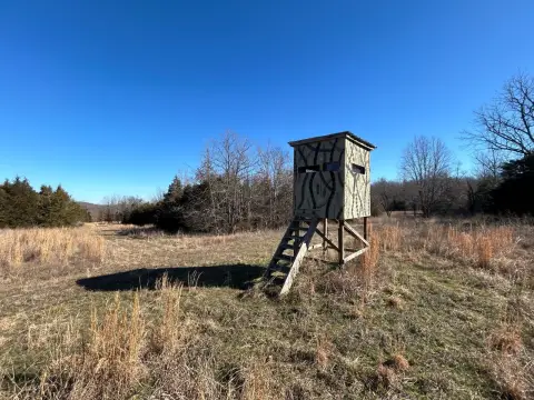 83 Acres of Hunting Land