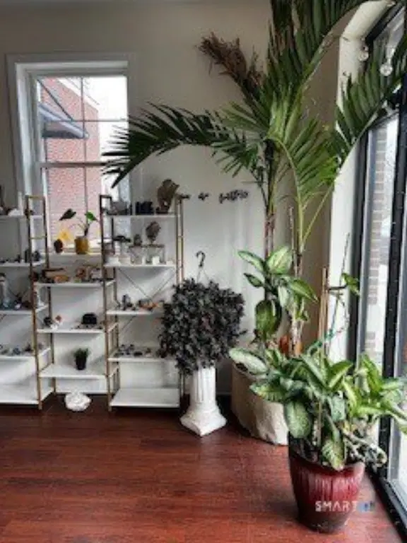 Picture 7