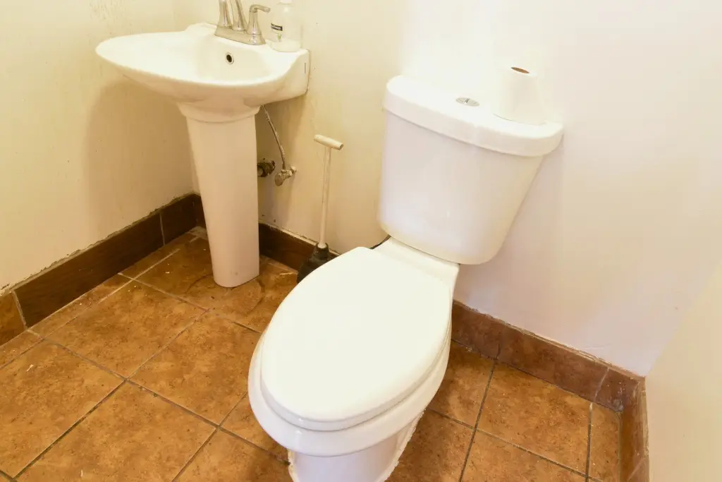 Picture 8
