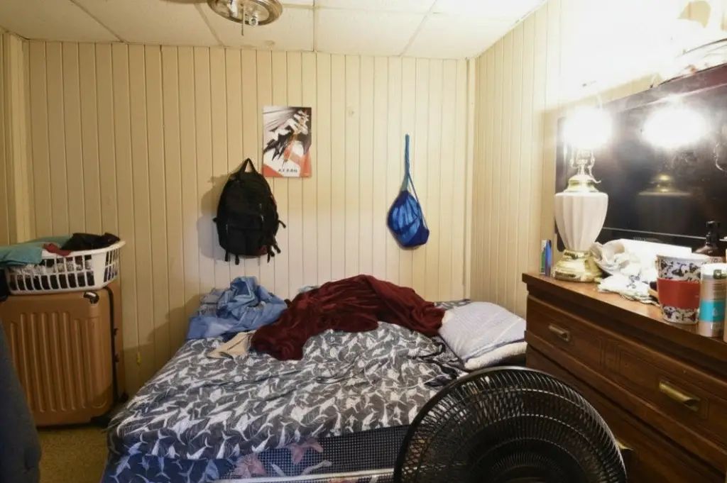 Picture 13