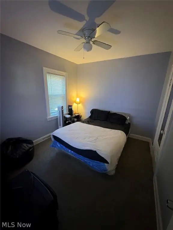 Picture 7
