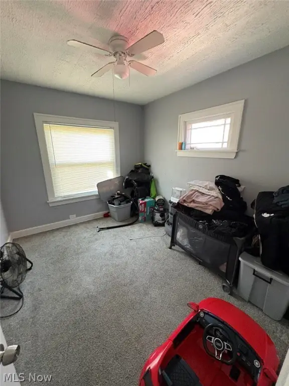 Picture 8