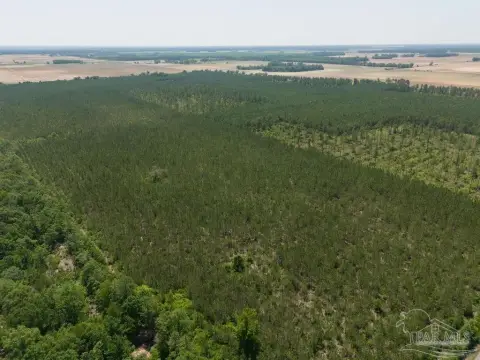 60-Acre Agricultural Land Parcel