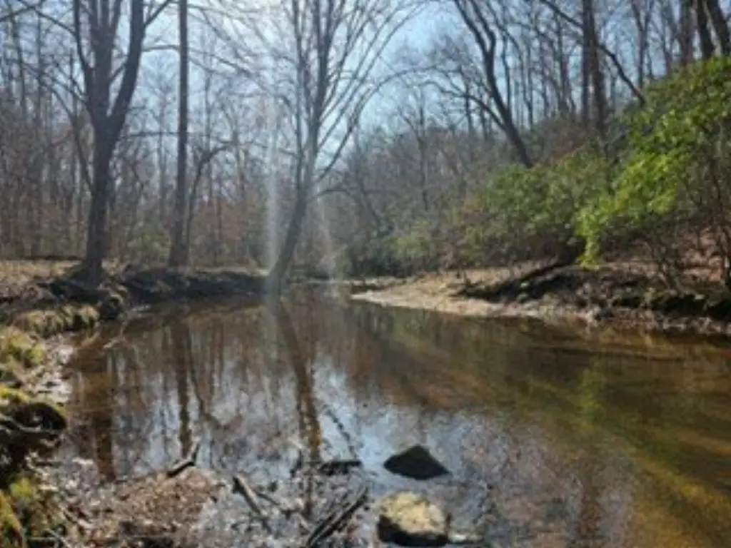 Picture 41
