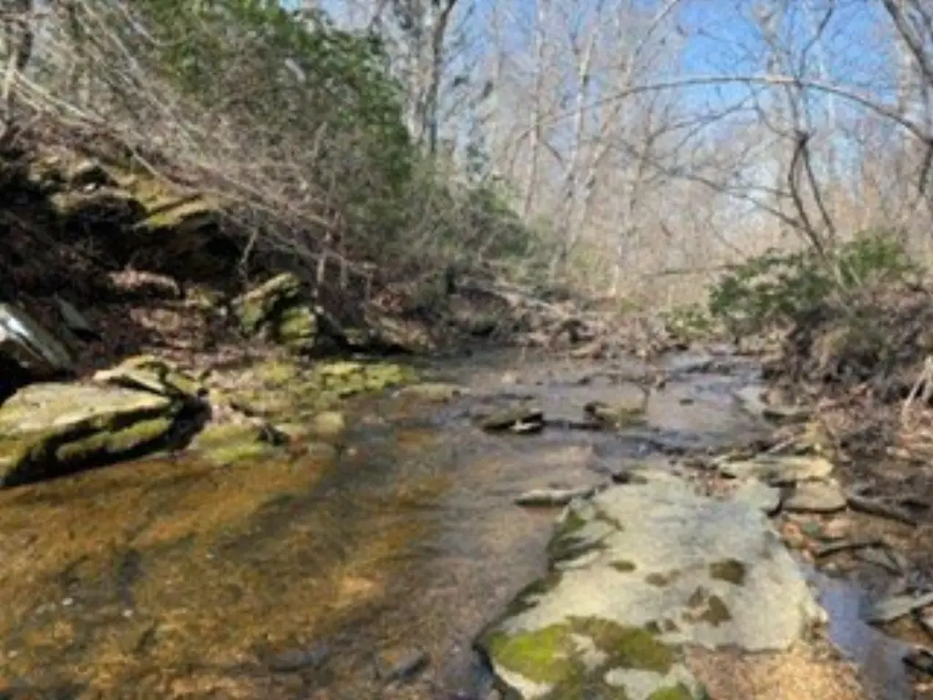 Picture 43