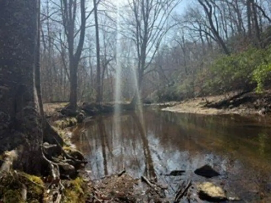 Picture 42