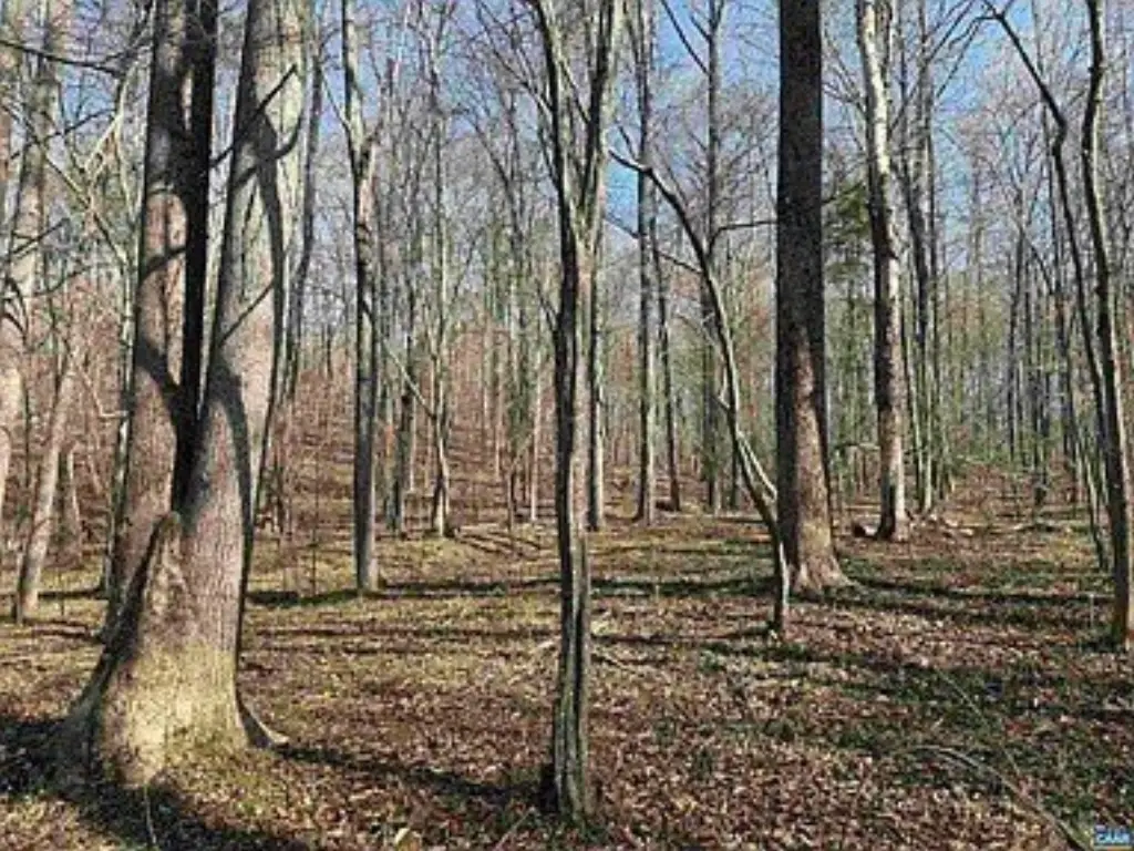 Picture 32