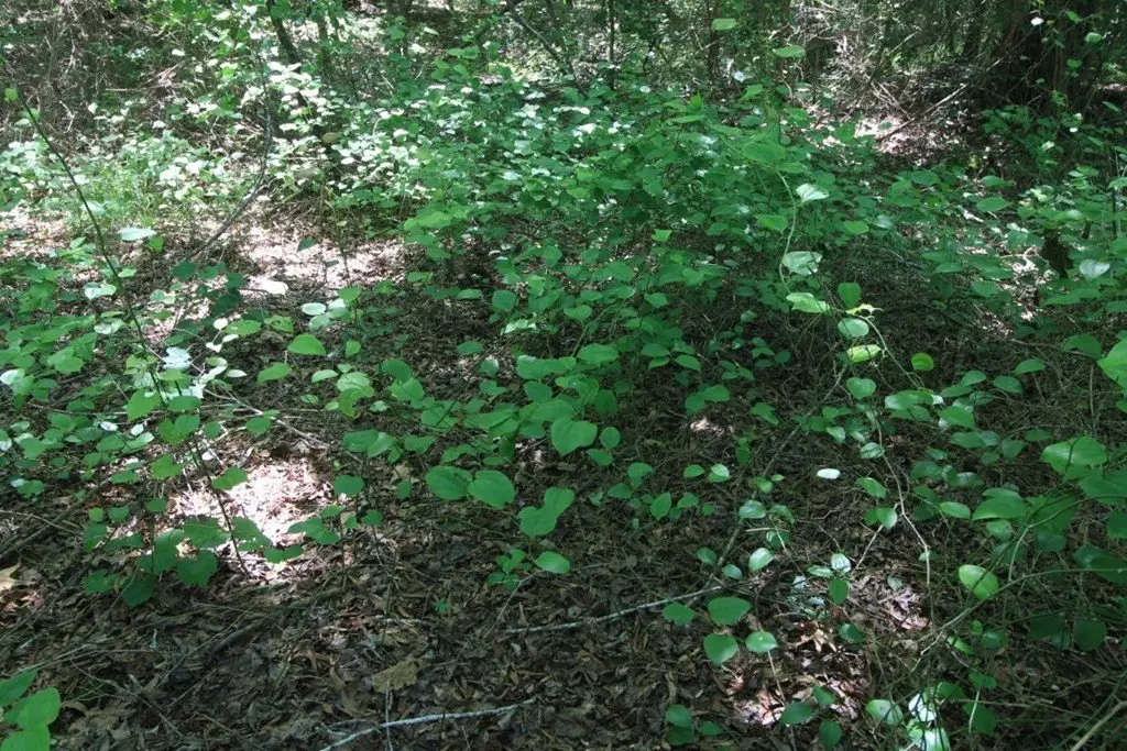 Picture 13