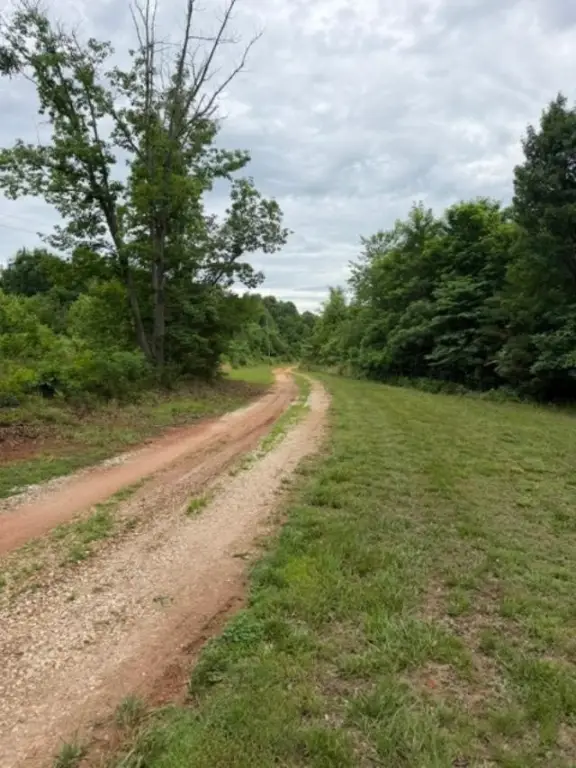Picture 4