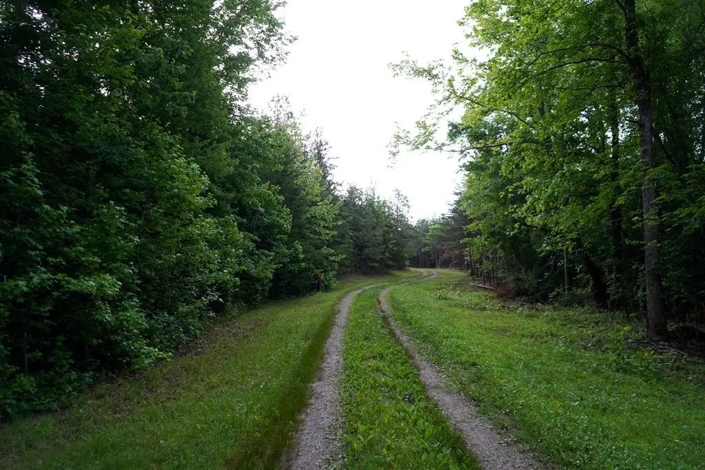 Picture 3