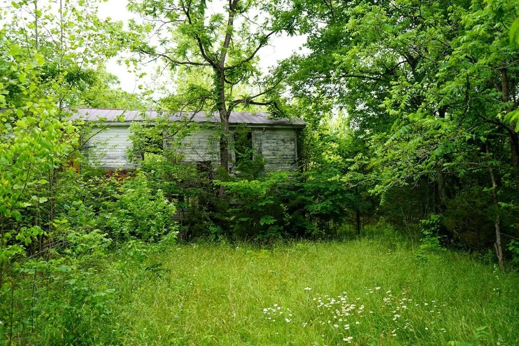 Picture 12