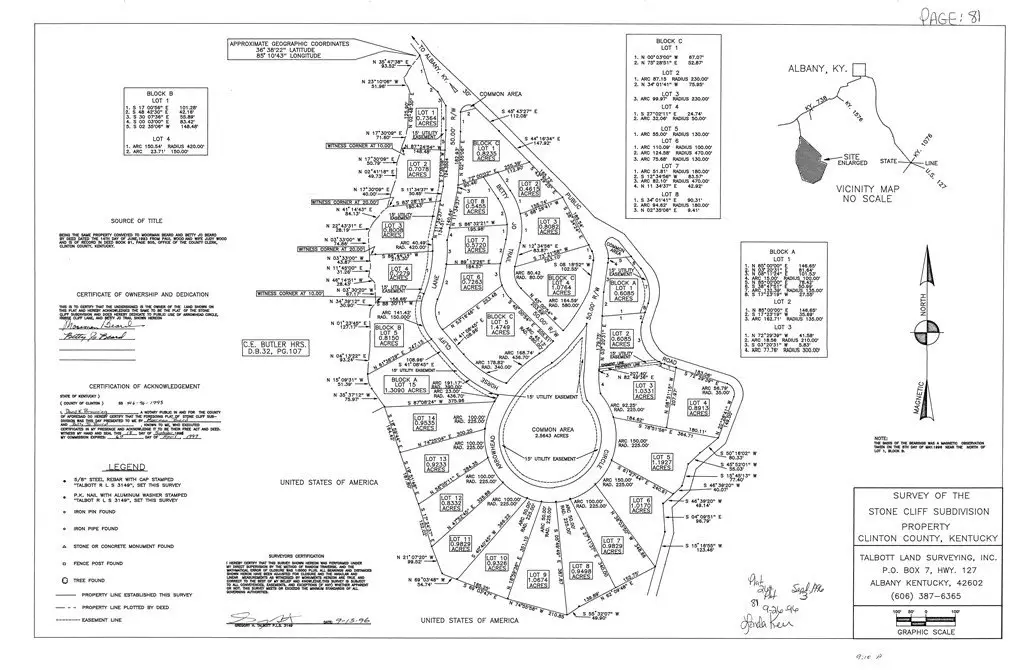 Picture 17