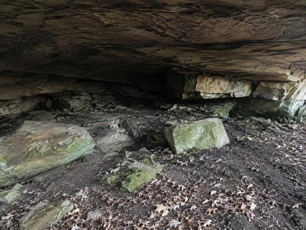 Picture 5