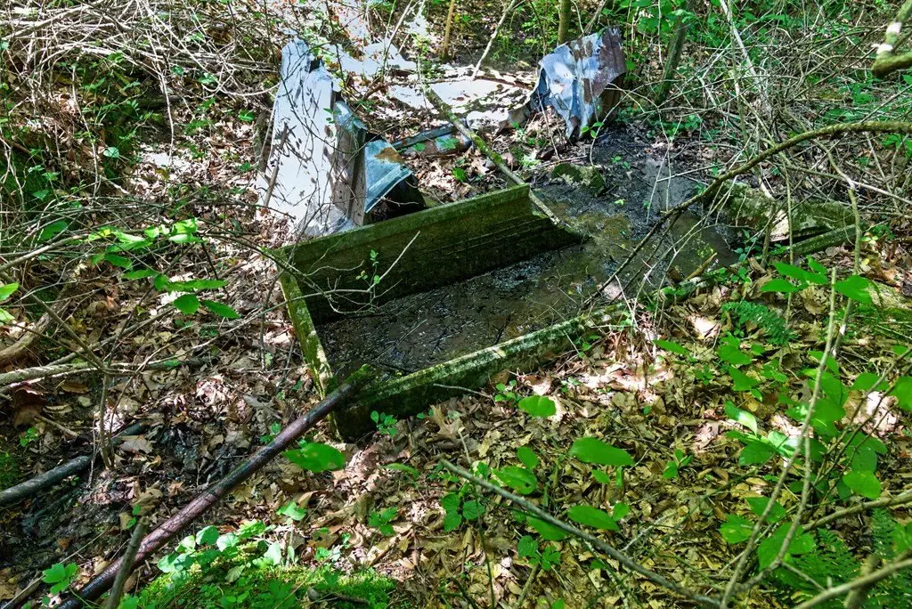 Picture 18