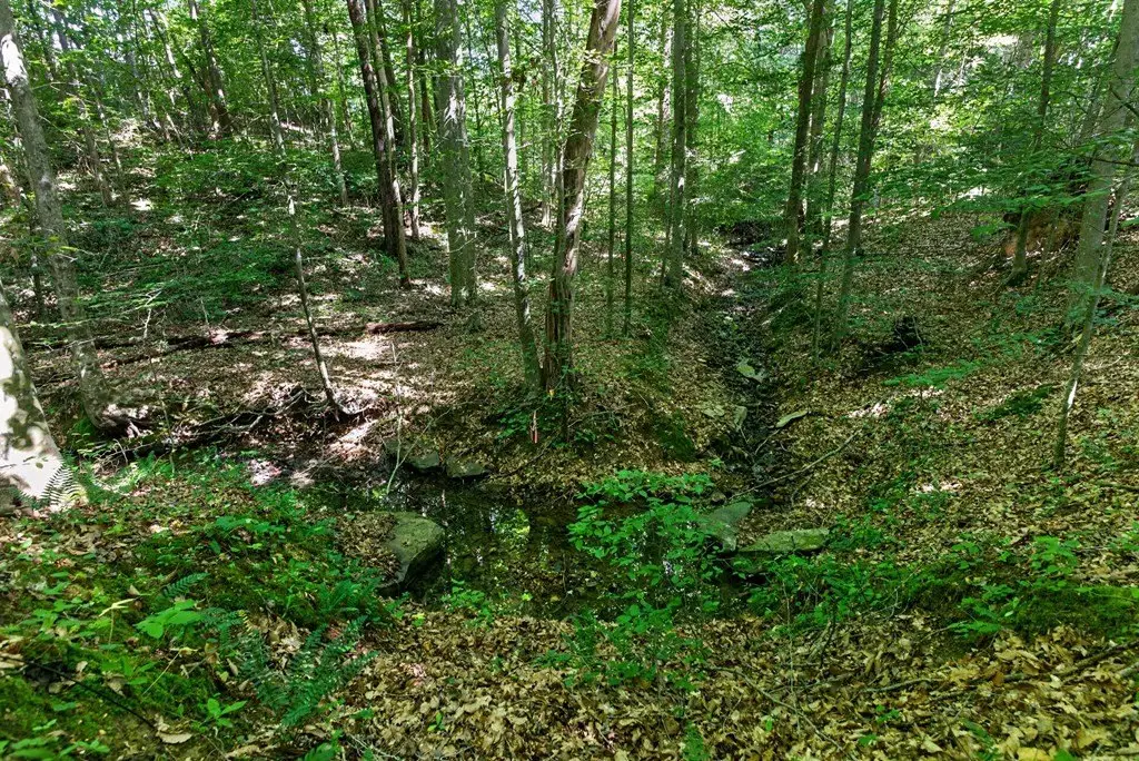 Picture 10