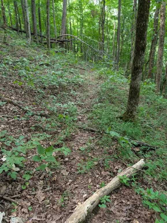 Picture 14