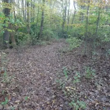 Residential Land in Mocksville, NC