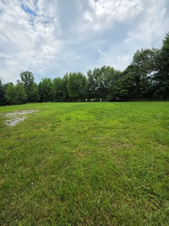 Picture 3