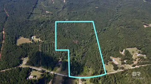 40 Acres of Countryside Land