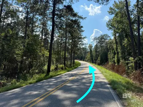 40 Acres of Country Land