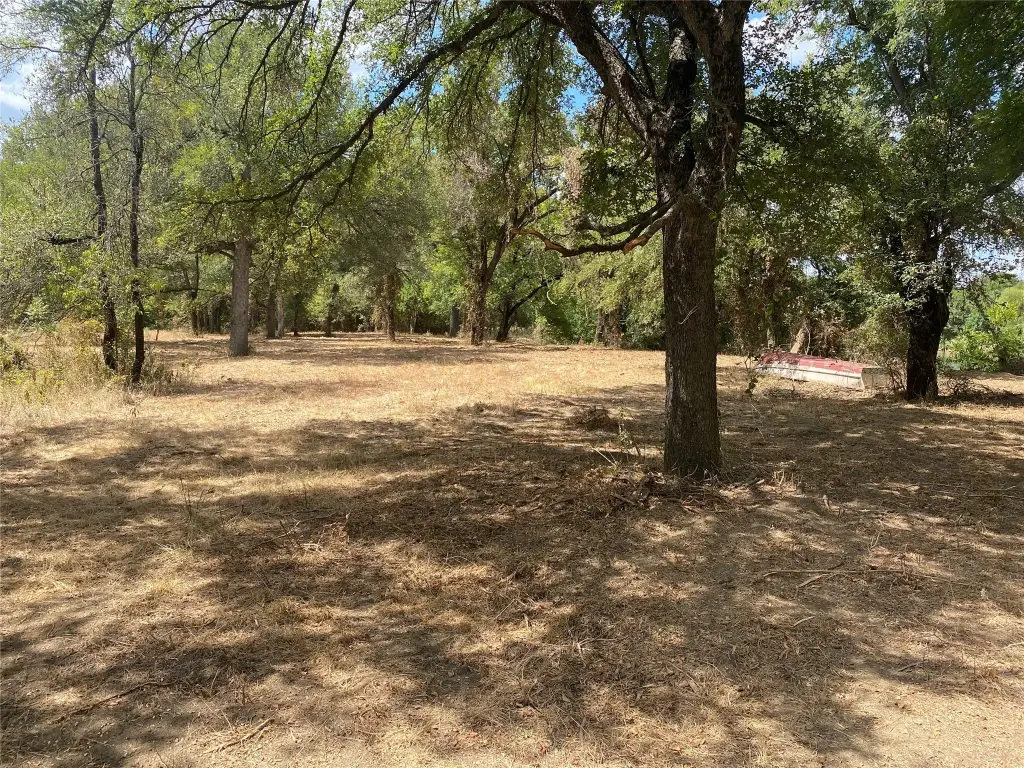 Picture 13
