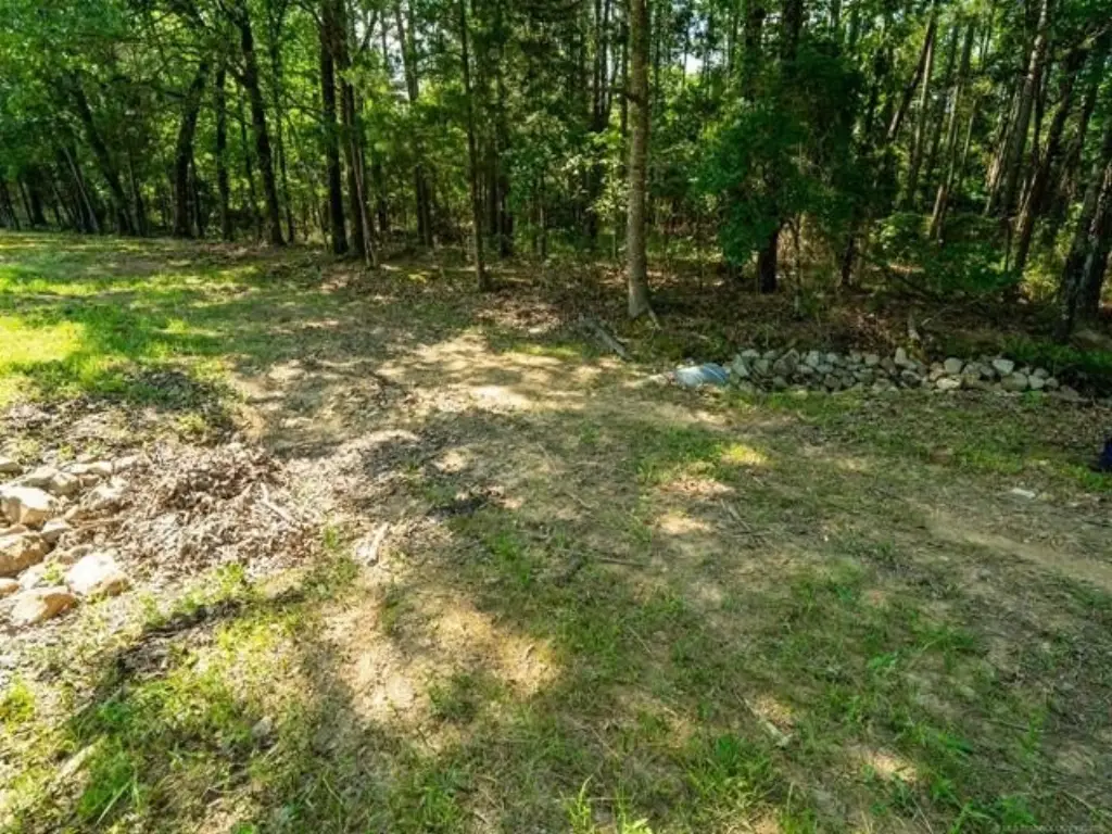 Picture 14