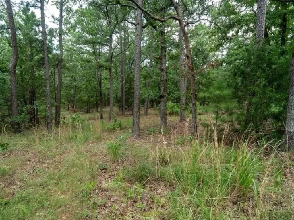 Picture 42