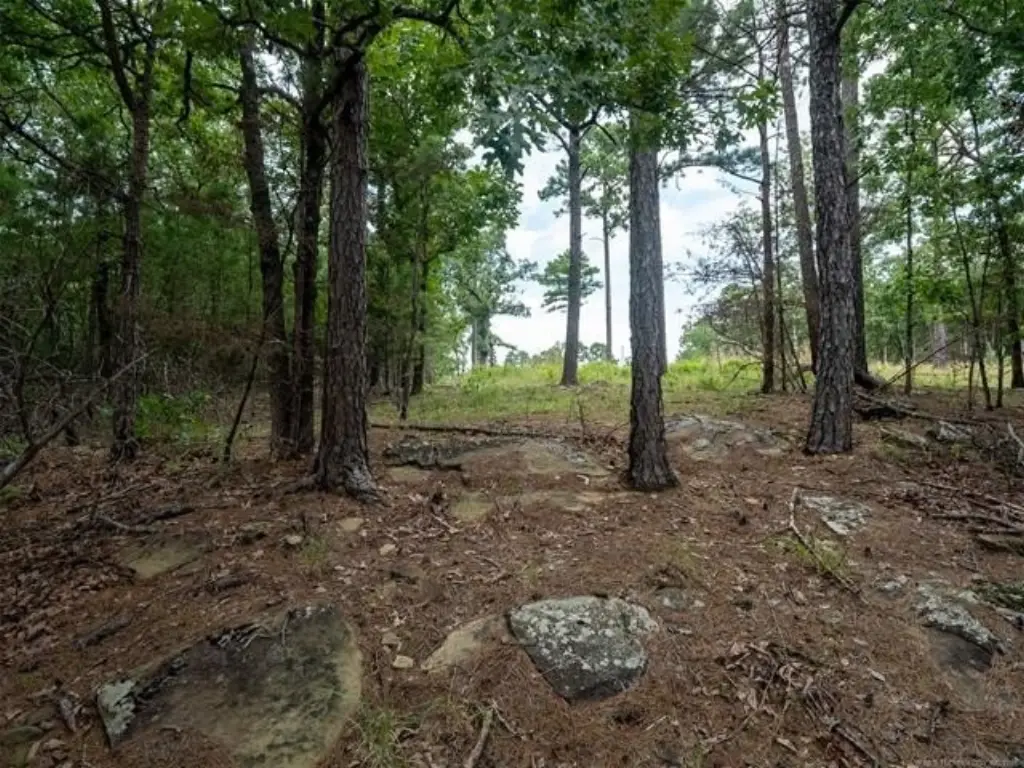 Picture 41