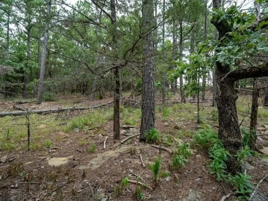 Picture 40