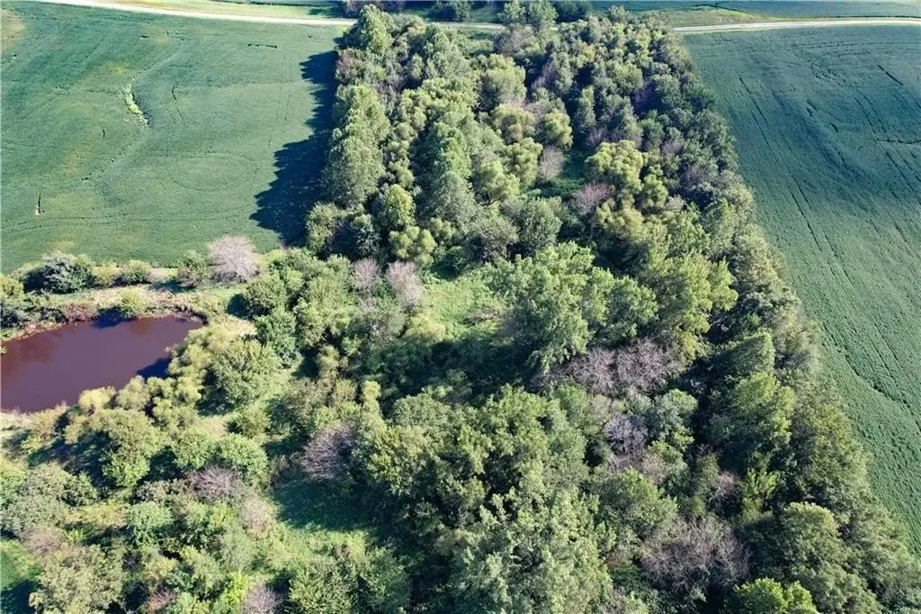 Picture 16