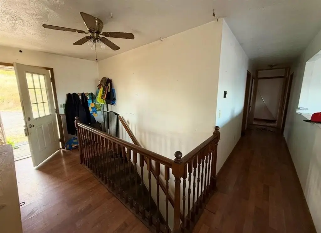 Picture 17