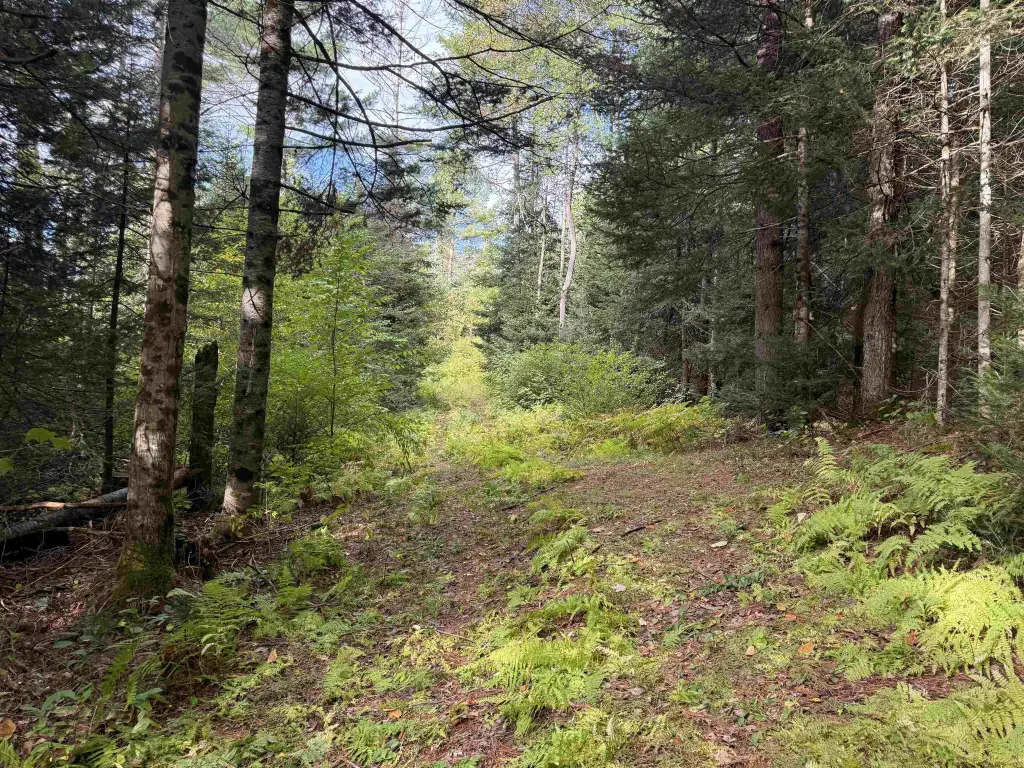 Picture 6