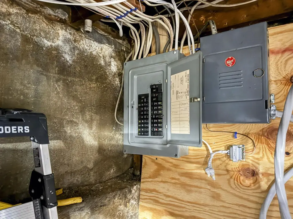 Picture 41