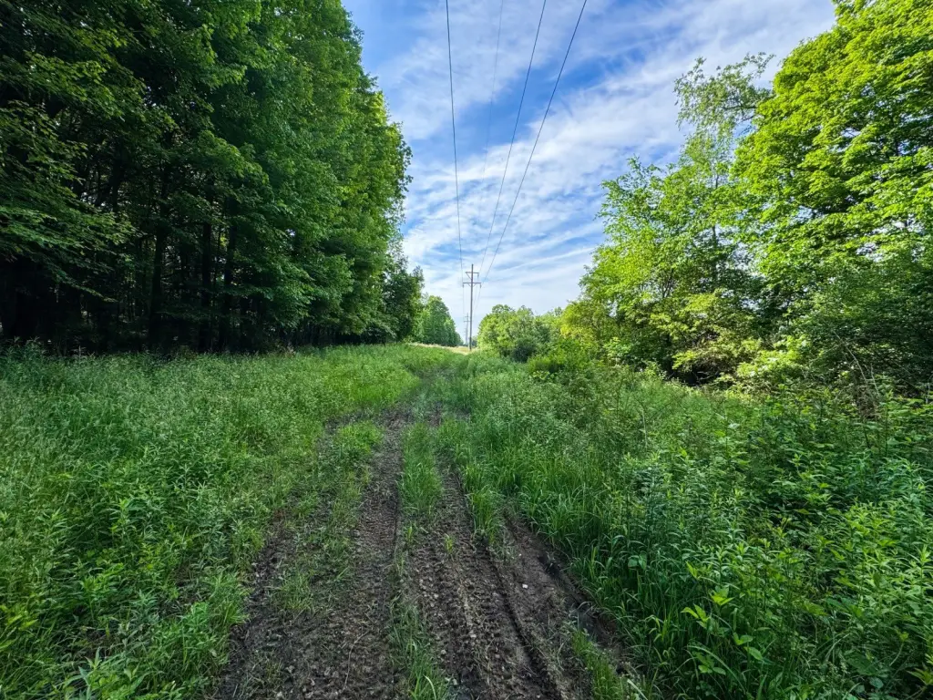 Picture 20