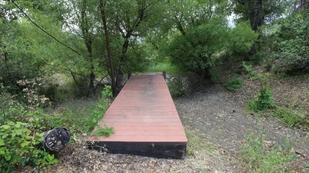 Picture 21
