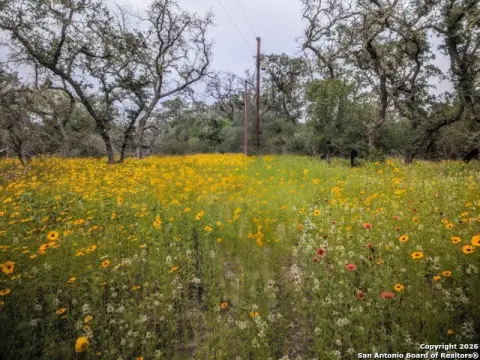 2 Acres of Residential Land