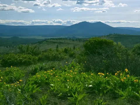 Recreational Land in Klamath Basin