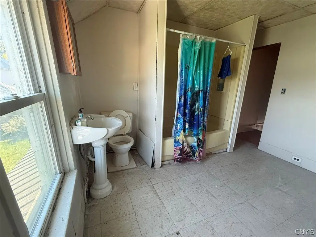 Picture 15
