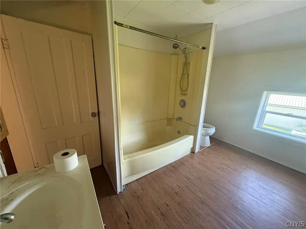 Picture 23