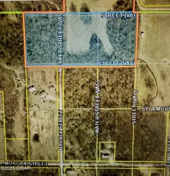 Land in Newtonia, Missouri