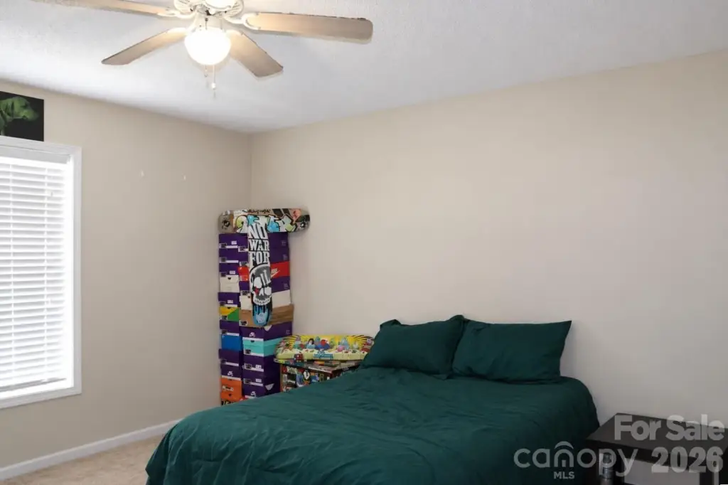 Picture 19