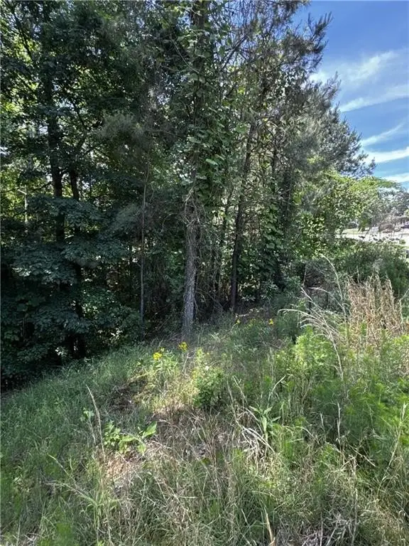 Picture 2