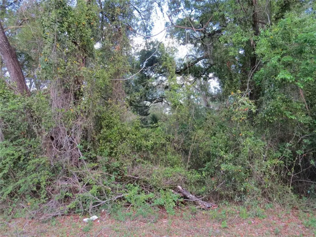 Picture 17