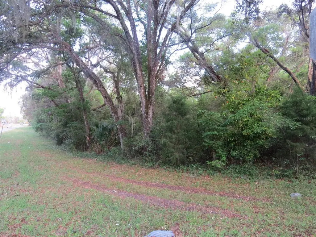 Picture 15