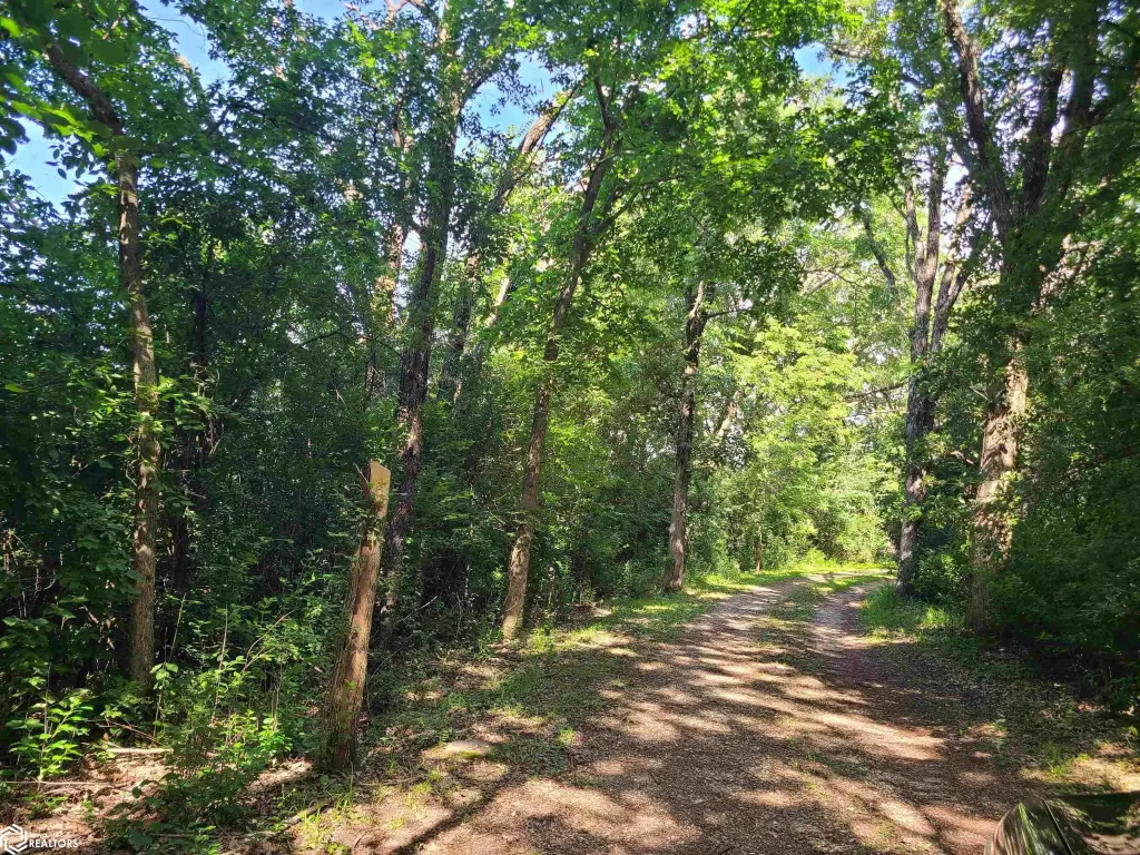 Picture 21
