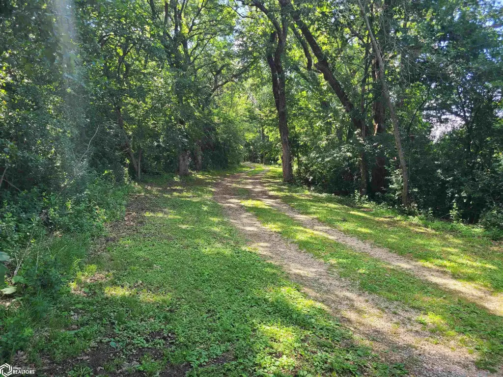 Picture 23