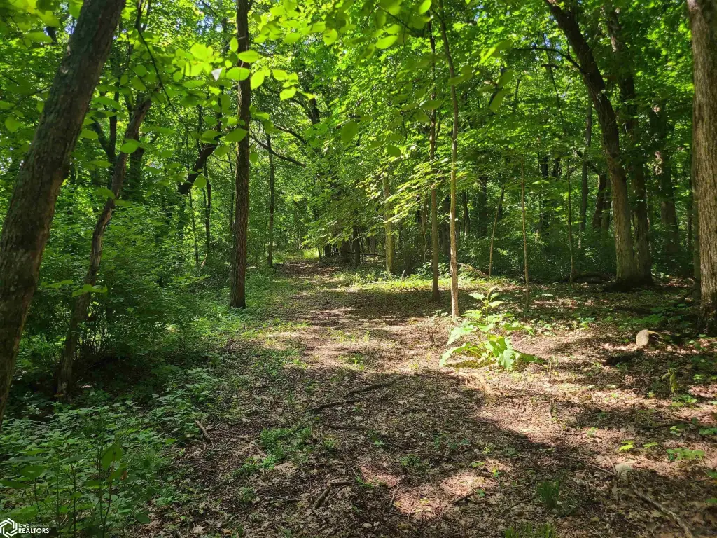 Picture 25
