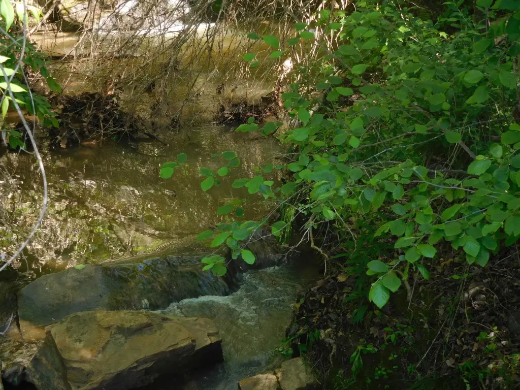 Picture 5