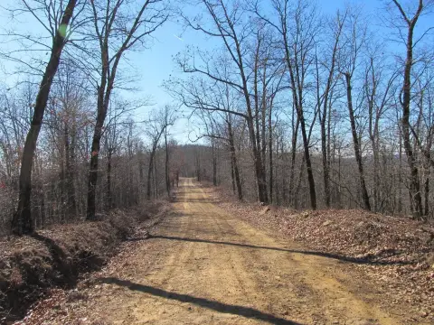Ozark Hunting Land Parcel